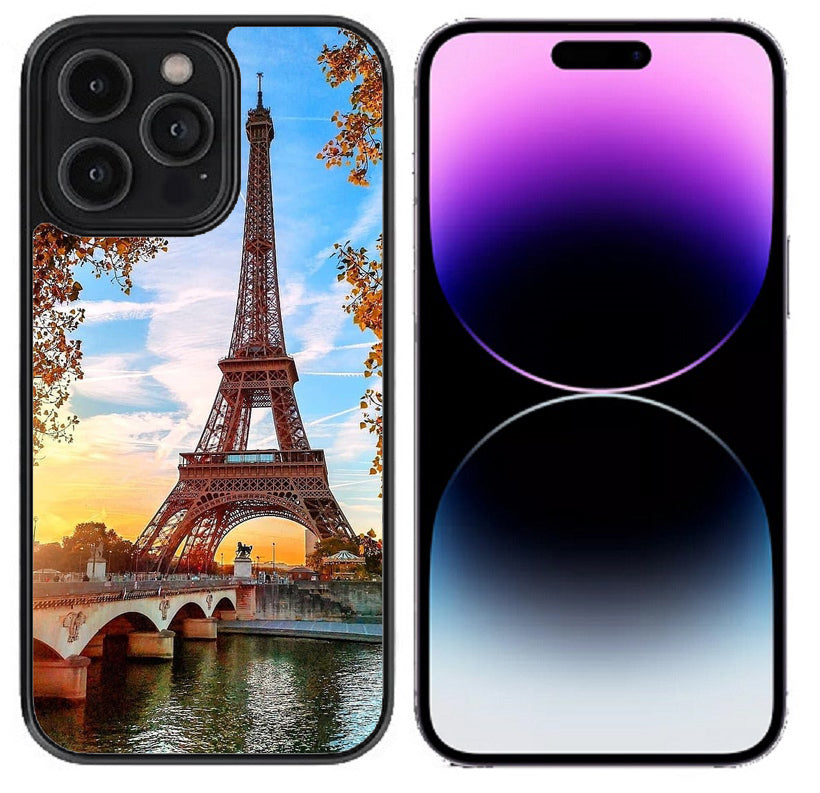 Classy Paris Autumn Case